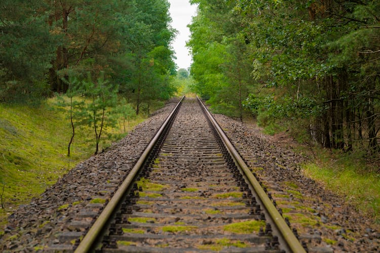 train rail between green trees