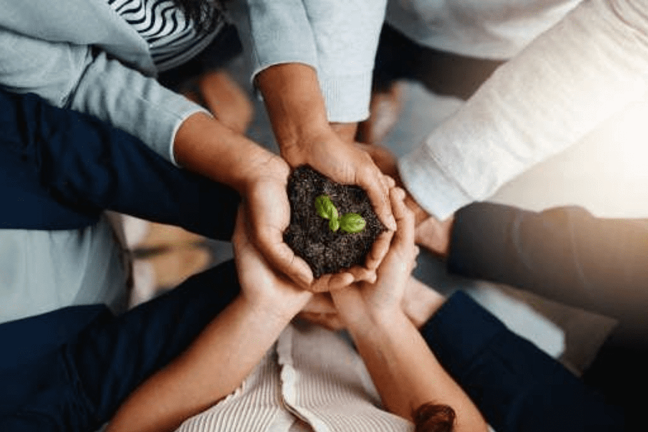 hands in the center holding a pile of dirt from which a single green plant sprouts