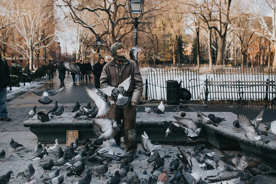 Man in city park surrounded by Pigeons