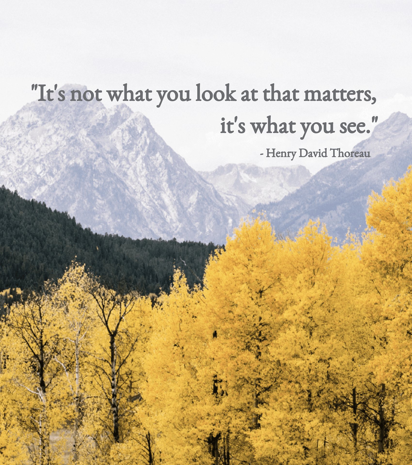 Thoreau Quote